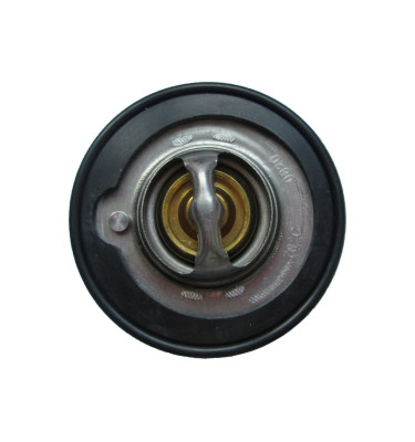 Termostat z obudową 50038