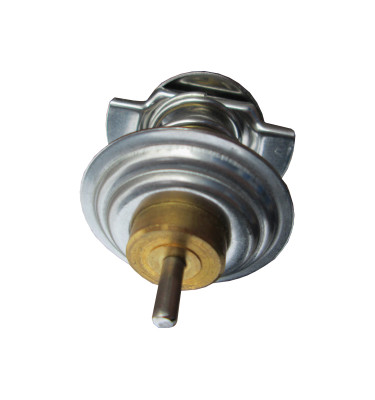 Termostat z obudową 50016