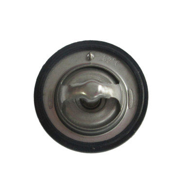 Termostat z obudową 50039