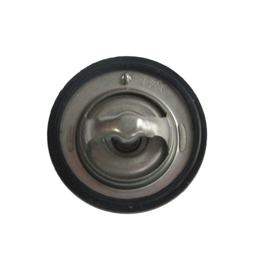 Termostat z obudową 50039