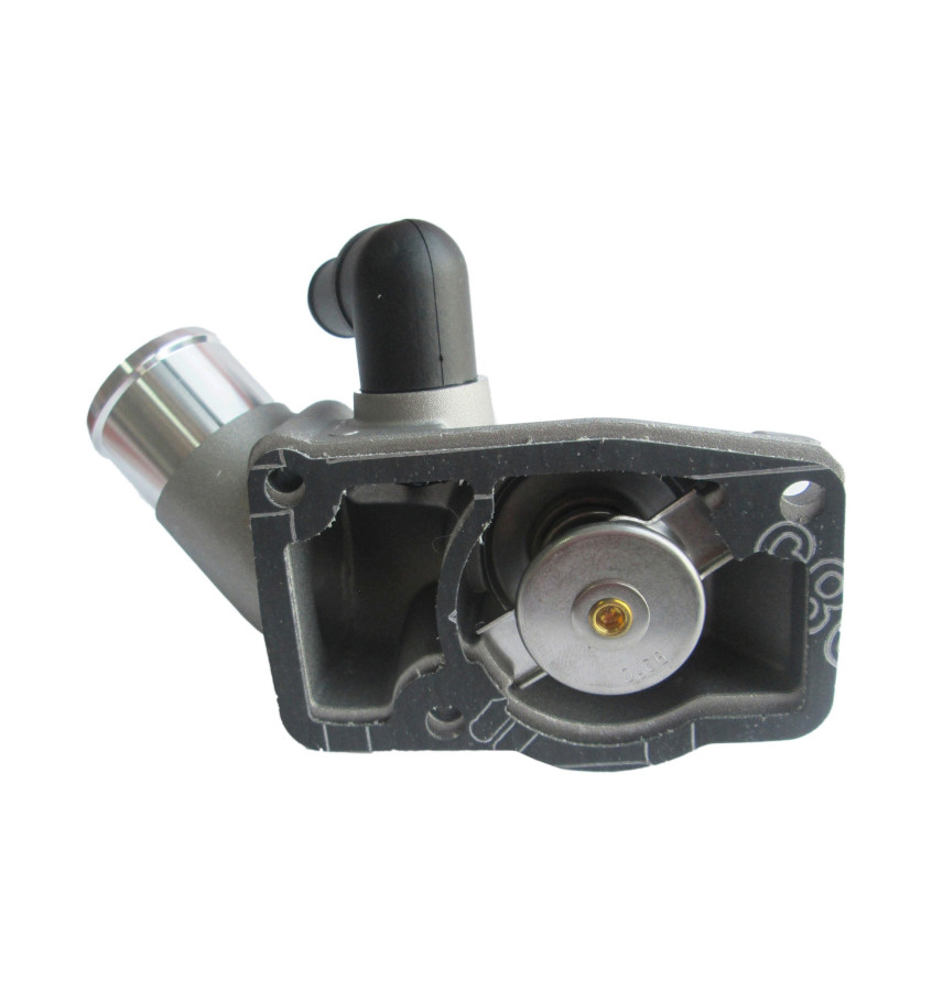 Termostat z obudową 50005