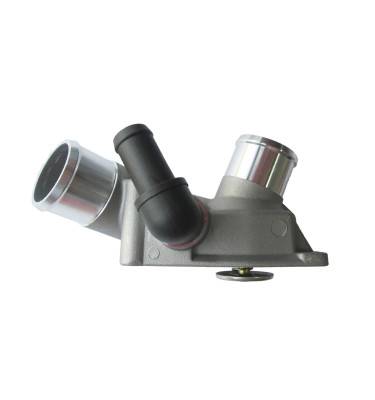 Termostat z obudową 50005