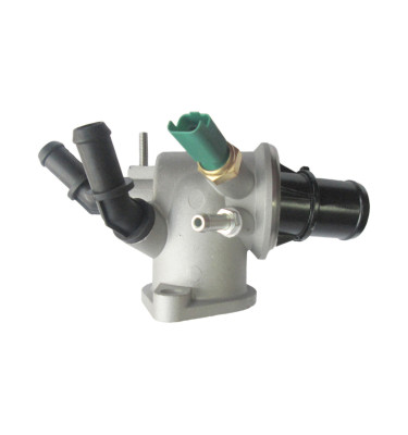 Termostat z obudową 50007