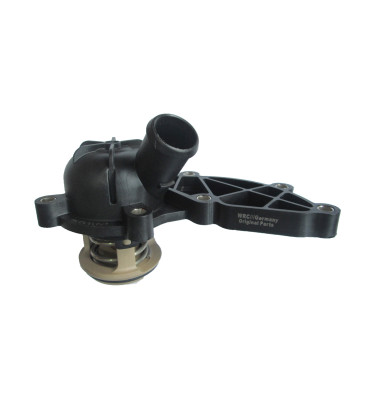 Termostat z obudową 50029