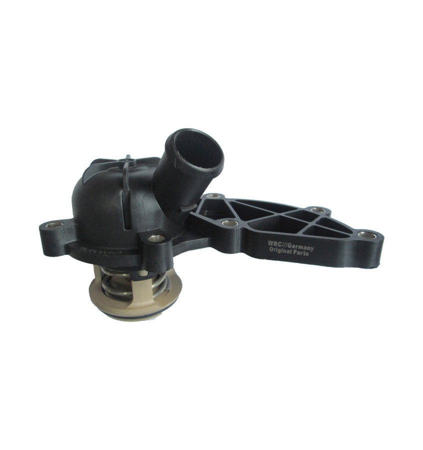 Termostat z obudową 50029