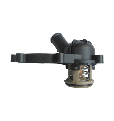 Termostat z obudową 50029