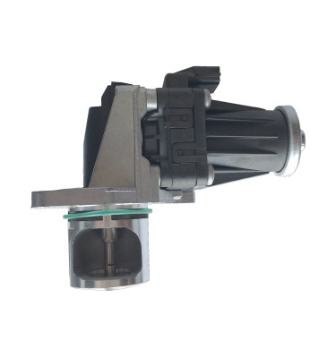EGR valve WRC 8888324