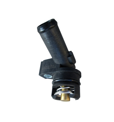 Termostat z obudową 50013
