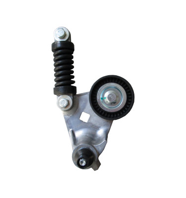 Napinacz paska wielorowkowego WRC 8024429