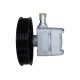 Power steering pump WRC 4901474