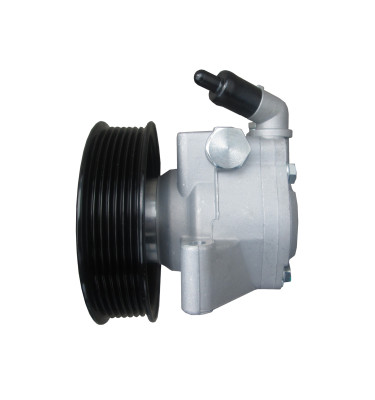 Power steering pump WRC 4902370