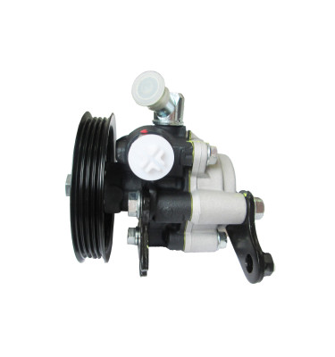 Power steering pump WRC 4901039