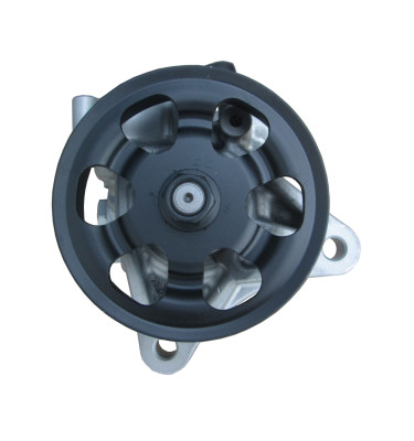 Pompa wspomagania układu kierowniczego 4990001R