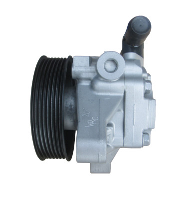 Power steering pump 4990001R