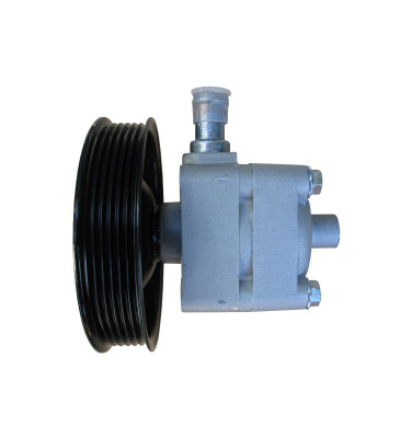 Power steering pump WRC 4901292