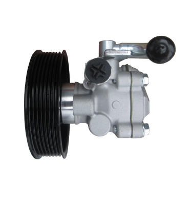 Power steering pump WRC 4901600R