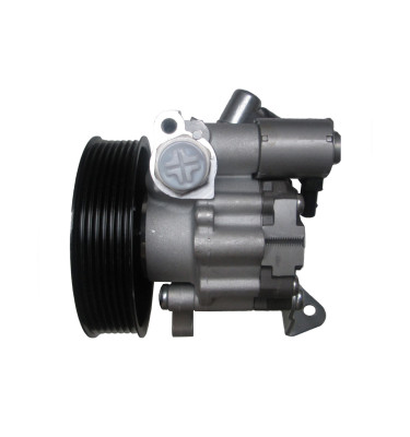 Power steering pump WRC 4900021