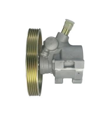 Power steering pump WRC 4900355