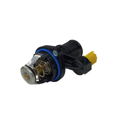 Termostat z obudową WRC 5000052