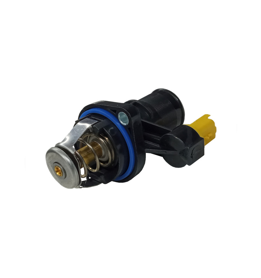 Termostat z obudową WRC 5000052