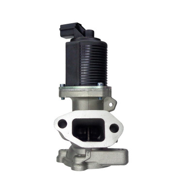 EGR valve WRC 8888139