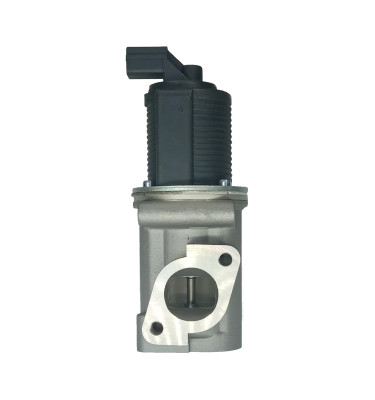 EGR valve WRC 8888016