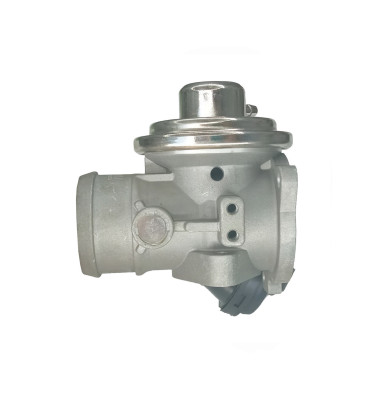 EGR valve WRC 8888096