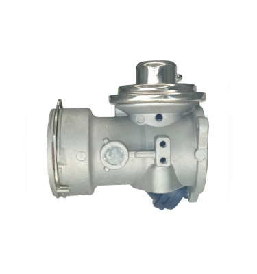 EGR valve WRC 8888119