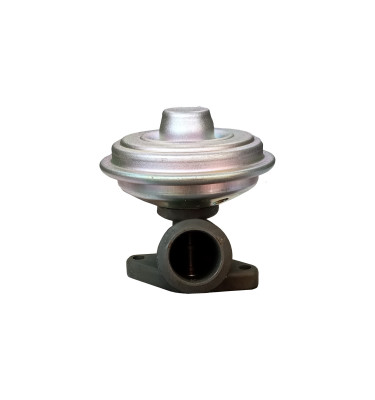 EGR valve WRC 8888141