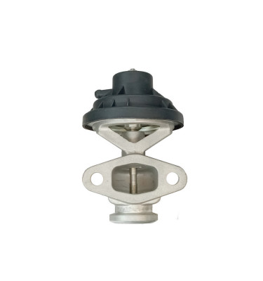 EGR valve WRC 8888175