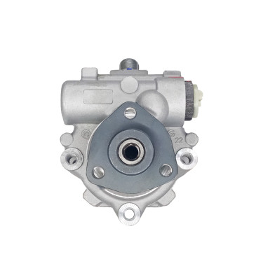 Power steering pump WRC 4901010