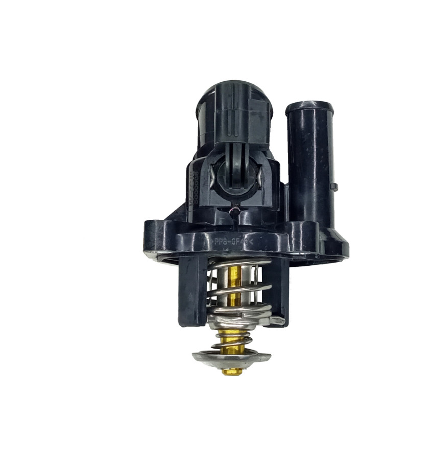 Termostat z obudową 50006