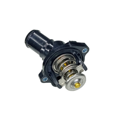 Termostat z obudową 50006