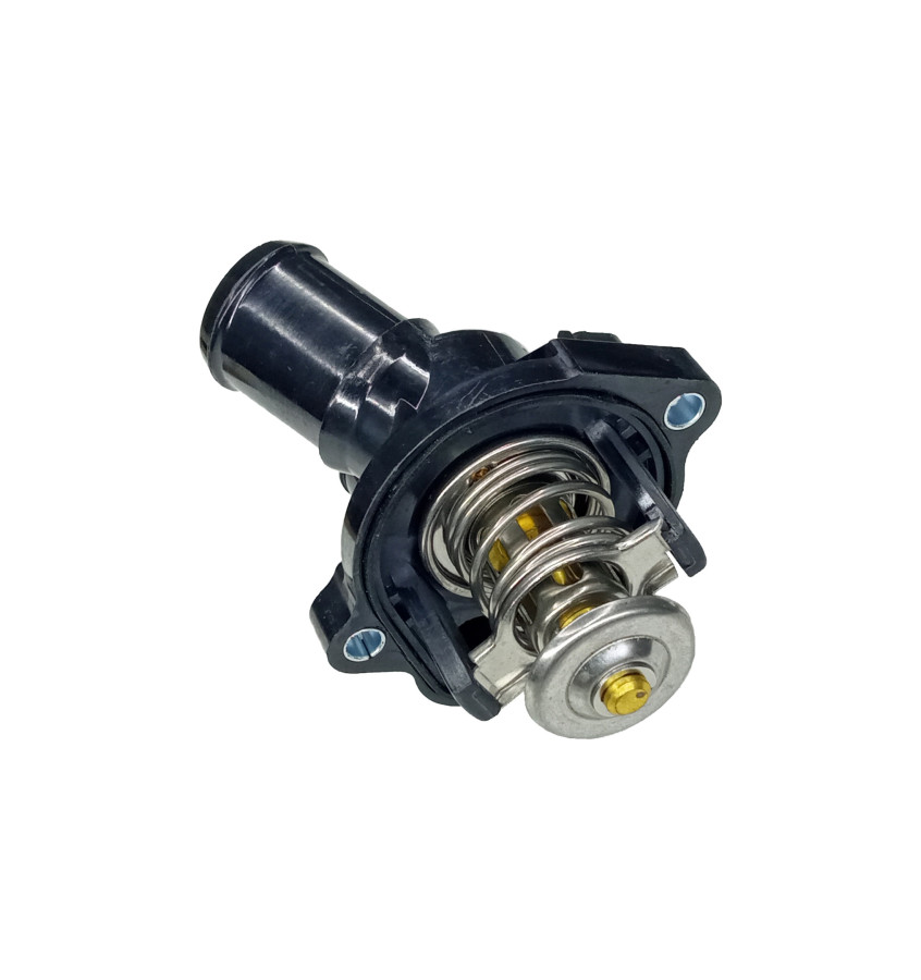 Termostat z obudową 50006