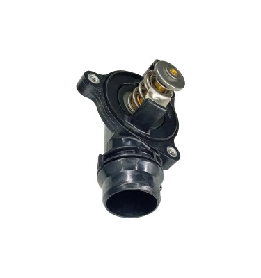 Termostat z obudową 50042