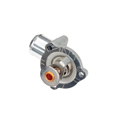 Termostat z obudową 50027