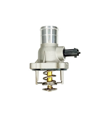 Termostat z obudową 50003