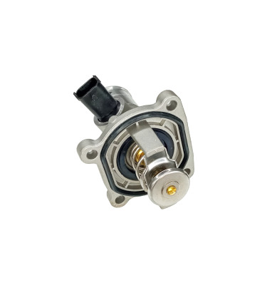 Termostat z obudową 50003