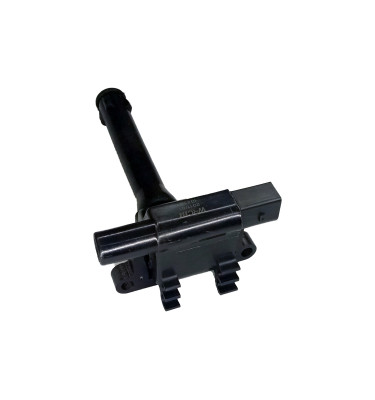 Cewka zapłonowa WRC 10439