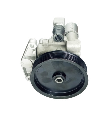 Power steering pump WRC 4902566