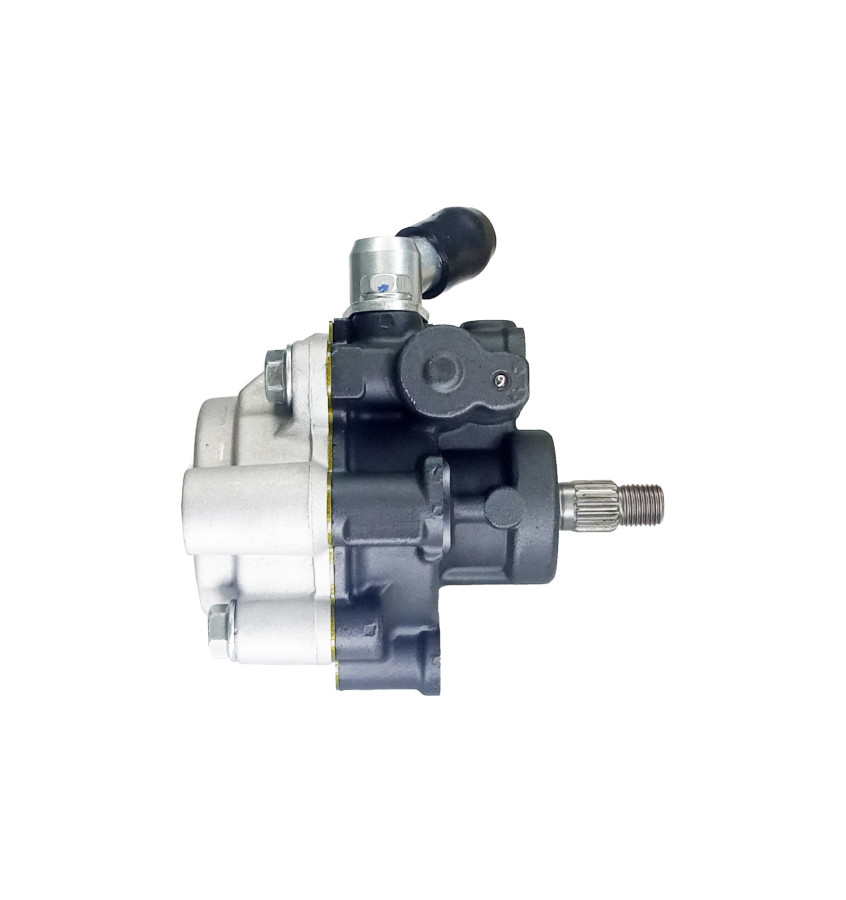 Pompa wspomagania układu kierowniczego 4902304