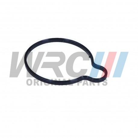 Vacum pump seal WRC 9100011