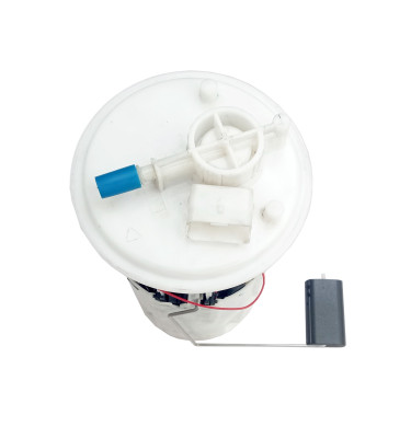 Komplette Kraftstoffpumpe WRC 6076555