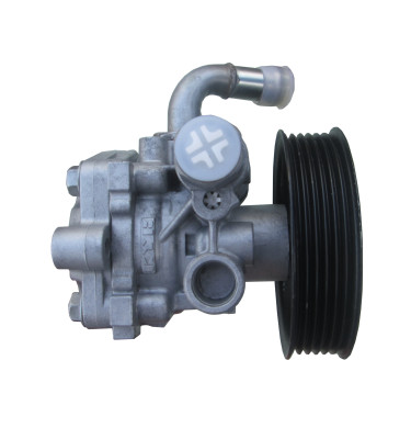 Power steering pump WRC 4902071