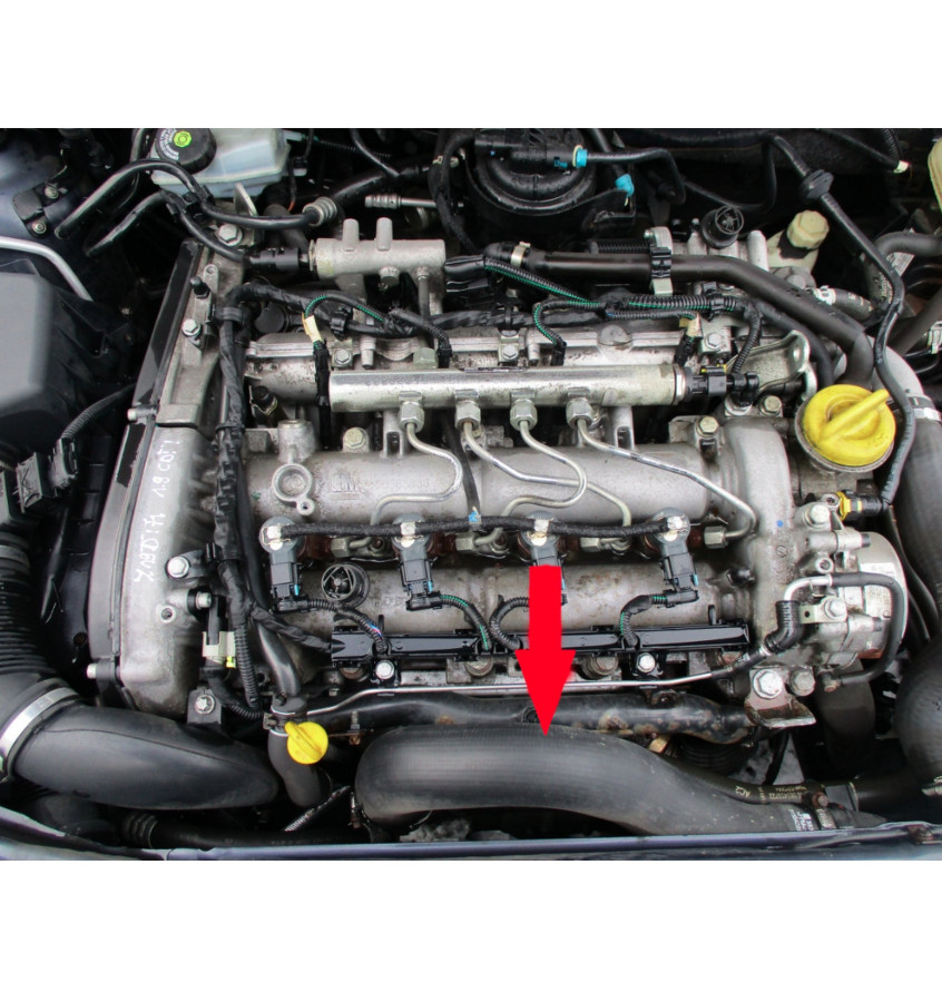 Przewód turbiny WRC 5700034