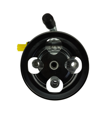 Power steering pump WRC 4902325