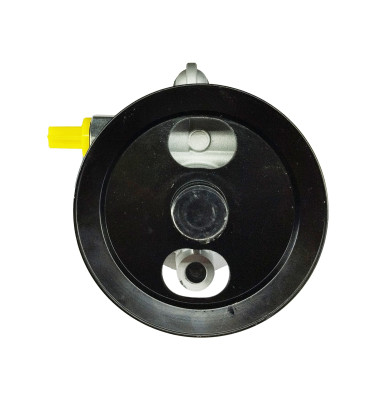 Power steering pump WRC 4909993