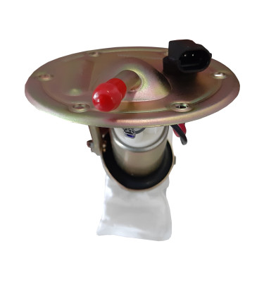 Kompletna pompa paliwa WRC 76977