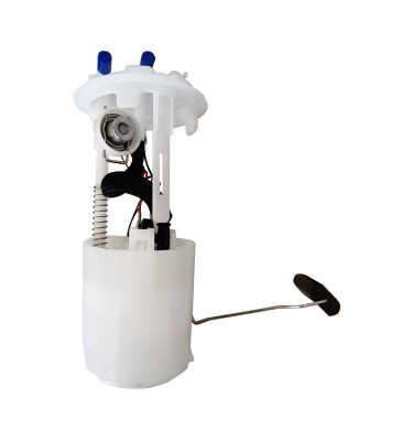 Komplette Kraftstoffpumpe WRC 6076484