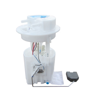 Komplette Kraftstoffpumpe WRC 6076573